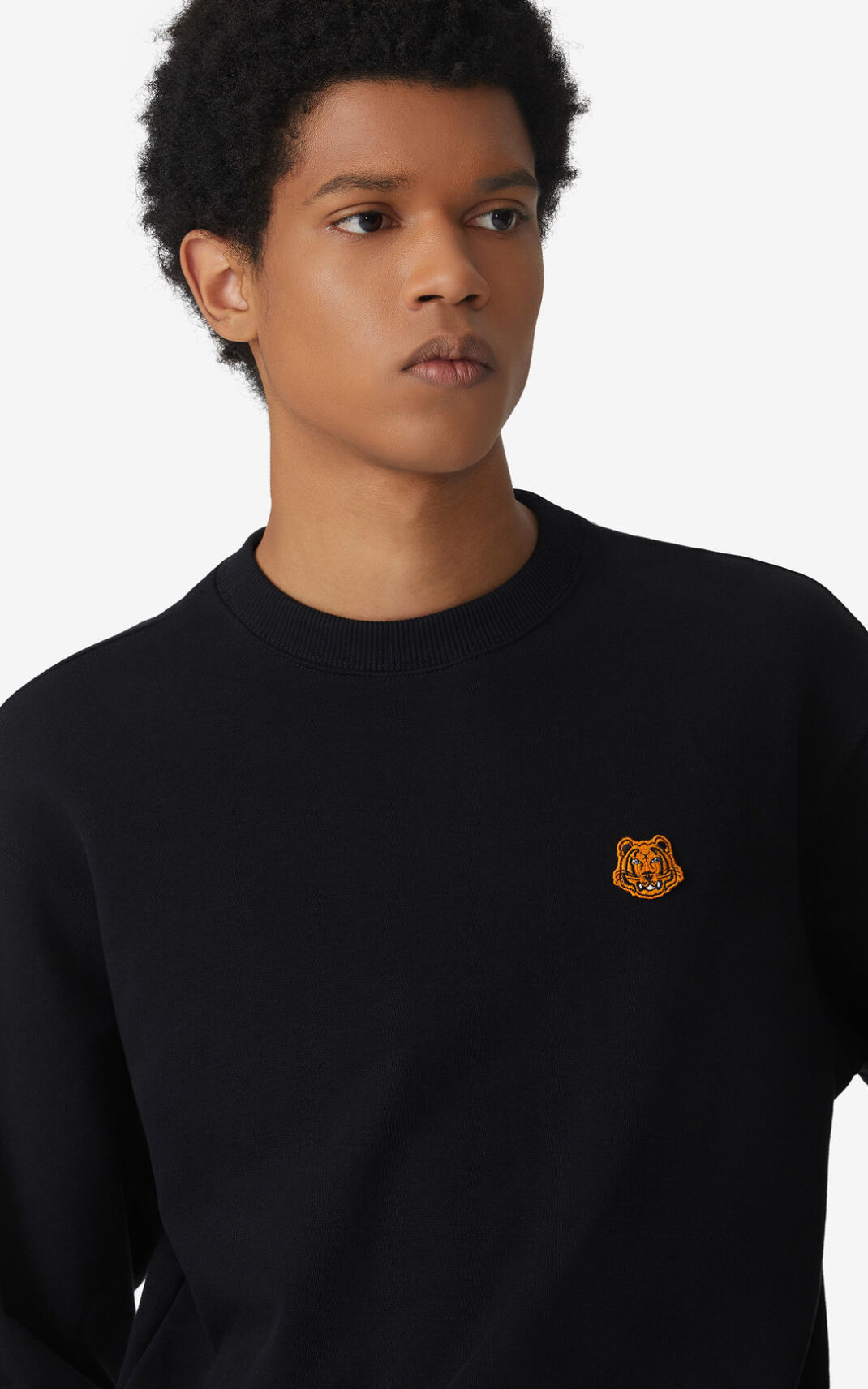 Kenzo Tiger Crest Sweatshirt Herr | 36820-HNDW